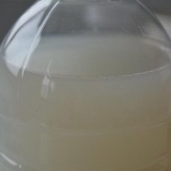 440w低调看直播nba_西甲直播jrs_极速体育触屏版​polyester